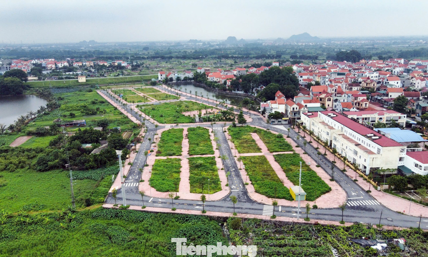 Chuyên gia lo ngại tình trạng lọt tp-dau-gia-dat-bo-hoang17.jpg