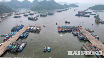 Khuyến khích giảm 50% giá phòng, hỗ trợ du khách bị kẹt lại do ảnh hưởng của bão số 5