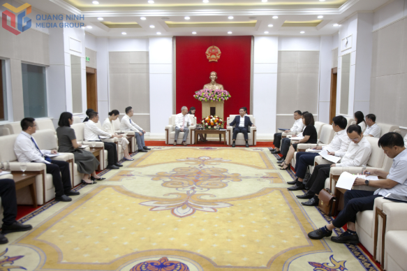 Việt Nam sắp xây dựng hầm vượt biển lớn nhất cả nước, vốn đầu tư gần 10.000 tỷ, được đối tác Trung Quốc của Vingroup ngỏ ý đồng hành- Ảnh 1.