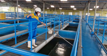 Nghệ An: Sau bão số 5, hàng nghìn người dân vẫn chưa có nước sử dụng