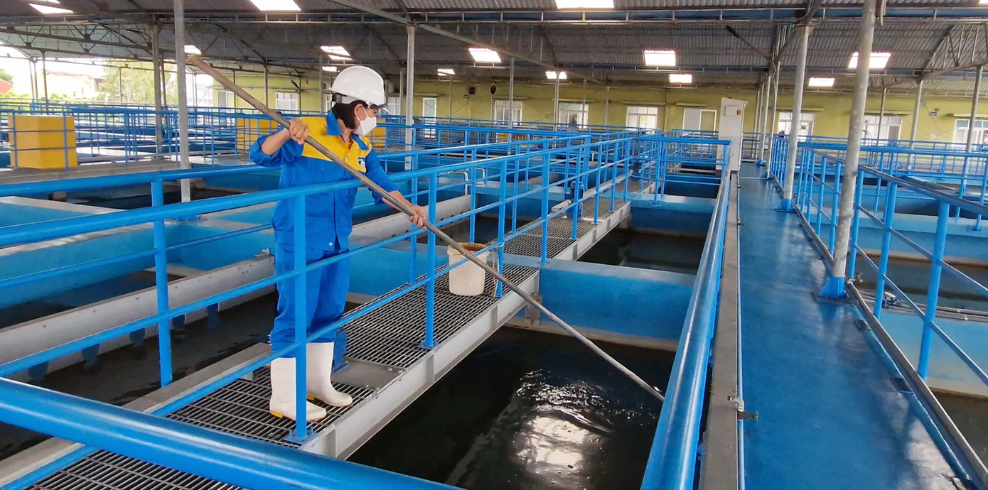Bên trong một nhà máy cấp nước của Nghệ An. anh-chup-man-hinh-2025-08-27-luc-103951.png