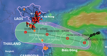 Áp thấp nhiệt đới hướng thẳng miền Trung