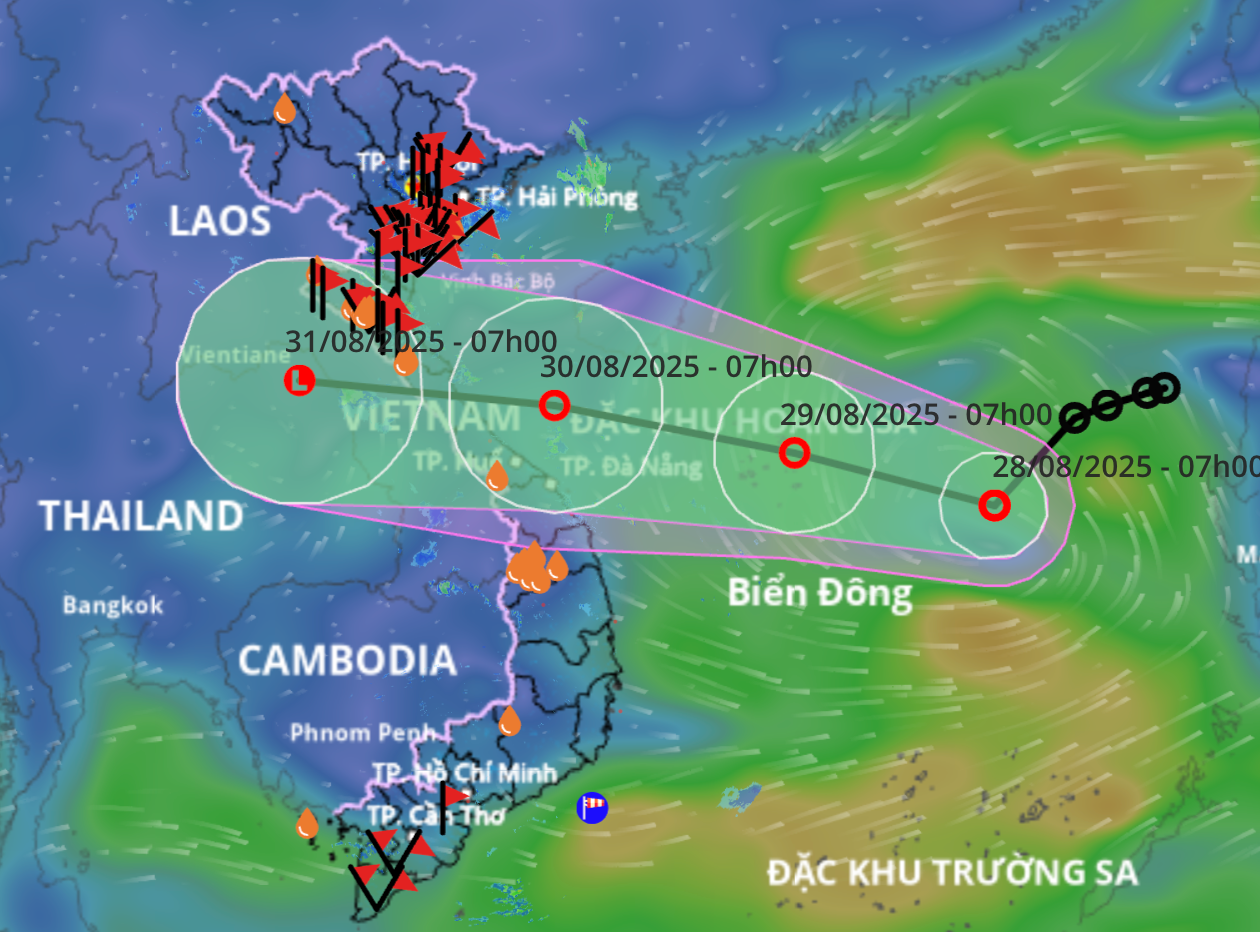 anh-man-hinh-2025-08-28-luc-082551.png