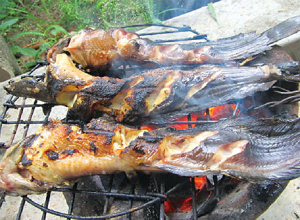 Từ cá đồng dân dã thành đặc sản 'thượng hạng': Dân sành ăn lùng mua bằng được