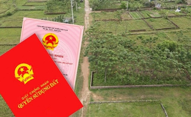 Từ bây giờ, đất 50 năm có được cấp sổ đỏ hay không?- Ảnh 1.