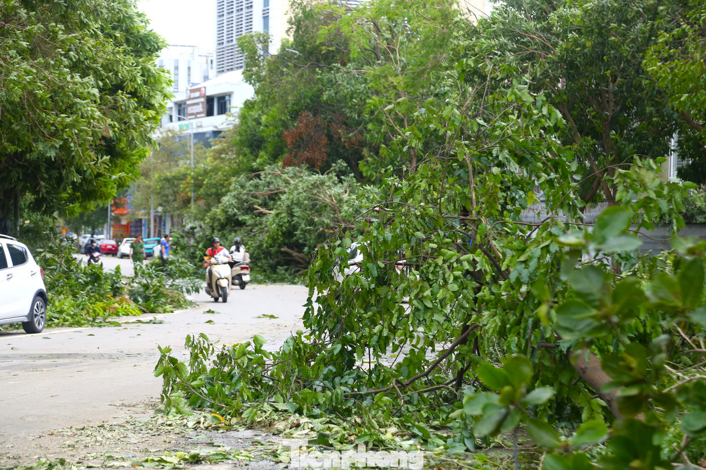 Sáng 28/8, nhiều phường, xã trên địa bàn tỉnh Nghệ An vẫn chưa có điện sau bão số 5 . Tại các cửa hàng điện máy thuộc phường Vinh Hưng, tỉnh Nghệ An, từng tốp người chen chúc hỏi mua máy phát điện. tp-11.jpg
