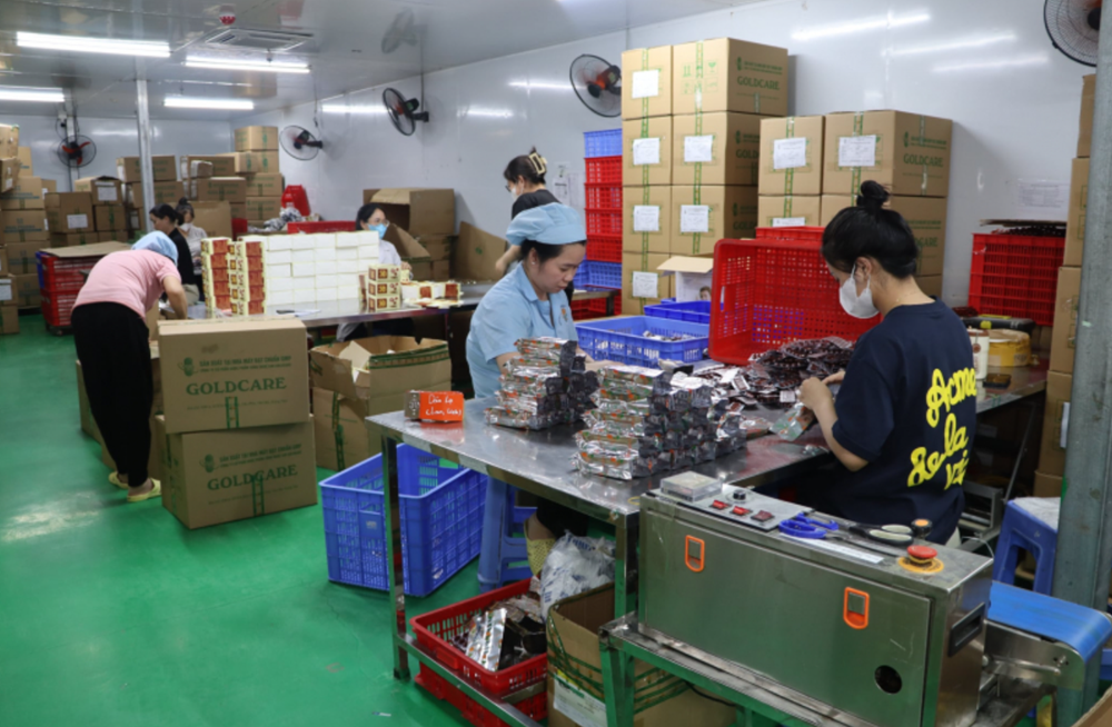 Khám xét khẩn cấp, khởi tố Giám đốc Đinh Thiên Lý - ảnh 4
