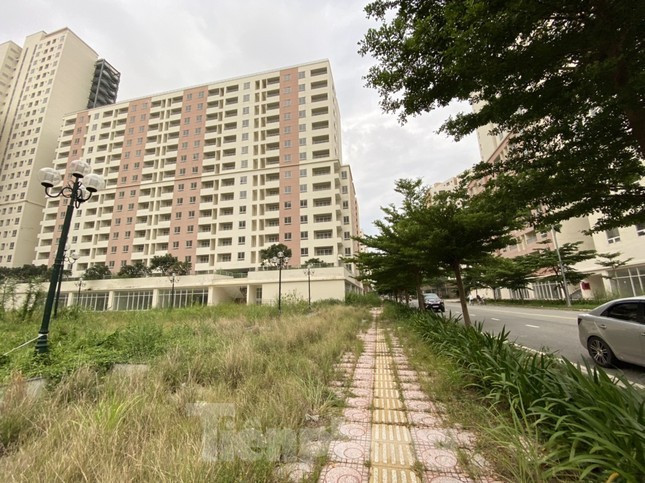 Theo quy định, doanh nghiệp khi tham gia đấu giá phải ký quỹ 20% giá khởi điểm. Nếu đơn vị trúng đấu giá thì trong vòng một tháng phải nộp 50% giá trị trúng đấu giá, 50% còn lại nộp trong vòng 90 ngày. 18.jpg