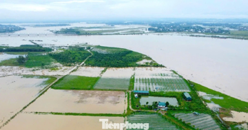 Bị bão quét sạch hoa màu, cả hợp tác xã trắng tay