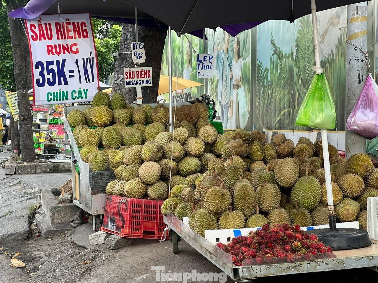 tp-sau-rieng-uyen-phuong-3.jpg