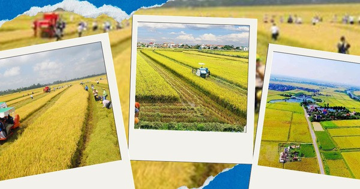 Chính phủ sắp họp bàn nội dung quan trọng về lĩnh vực đất đai