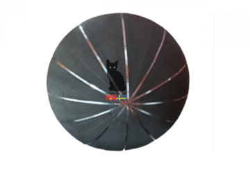 Công ty Mèo Đen chốt quyền trả cổ tức bằng cổ phiếu tỷ lệ 18%