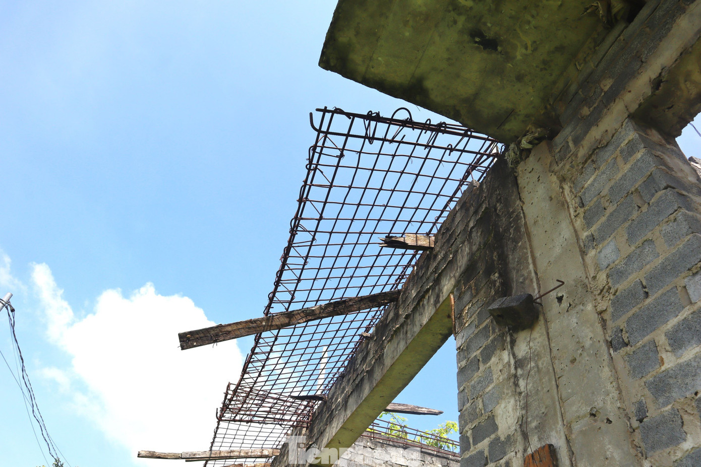 tp-10.jpg