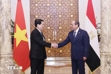 Việt Nam và Ai Cập nâng cấp quan hệ lên Đối tác toàn diện