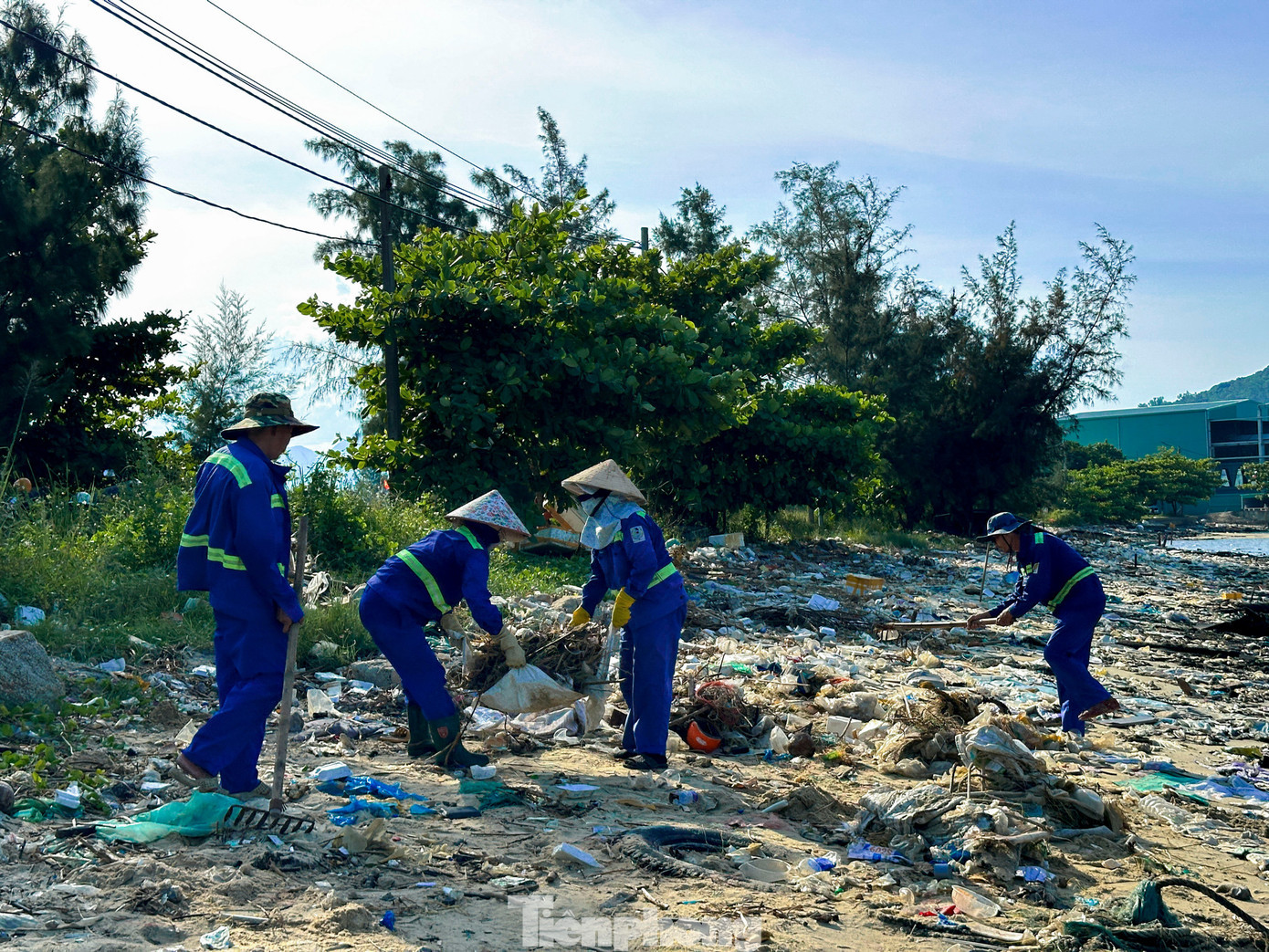tp-racngapnguamanquang-7.jpg