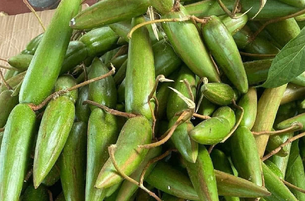 Loại quả tên cực lạ trước cho không ai lấy, nay 'lên đời' thành đặc sản, giá cao vẫn hút khách thành thị