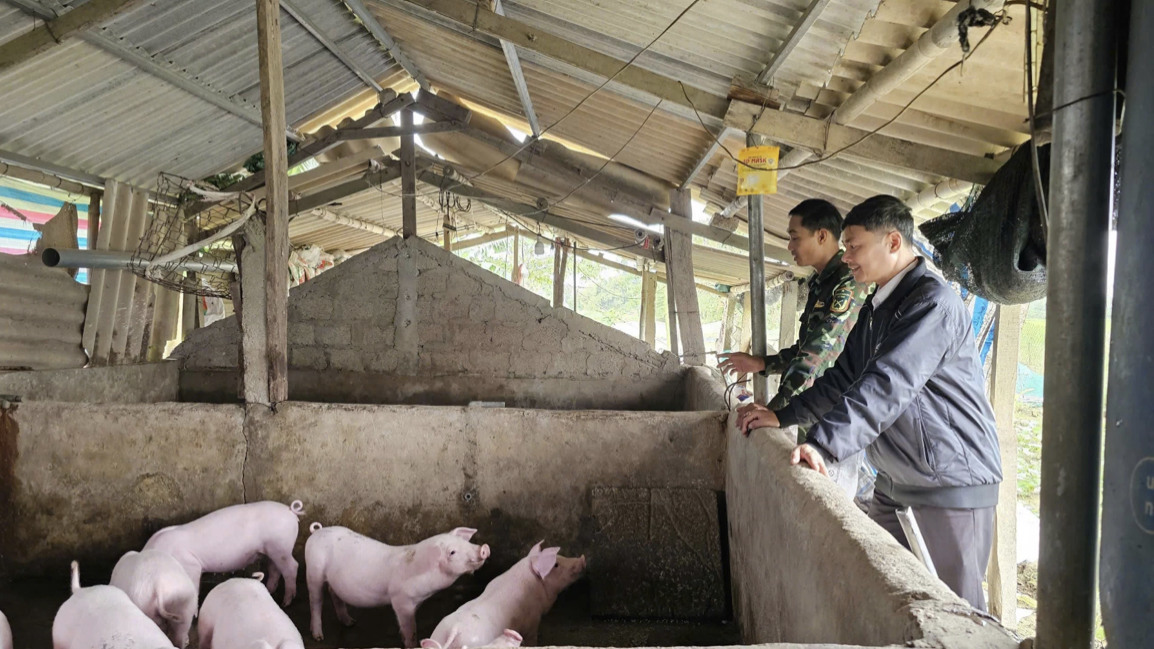 Người chăn nuôi lợn nỗ lực phòng, chống dịch tả lợn châu Phi lây lan trong đàn. dich-ta-lon-chau-phi-o-quang-tri-3.png
