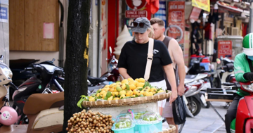 'Thị cô Tấm' xuống phố, giá 150.000 đồng/kg