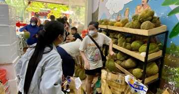 Sầu riêng giá rẻ 'đổ bộ' Hà Nội, 1 ngày bán gần 3 tấn
