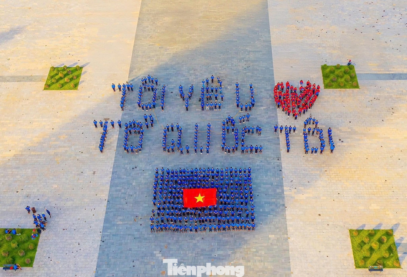 tp-19.jpg