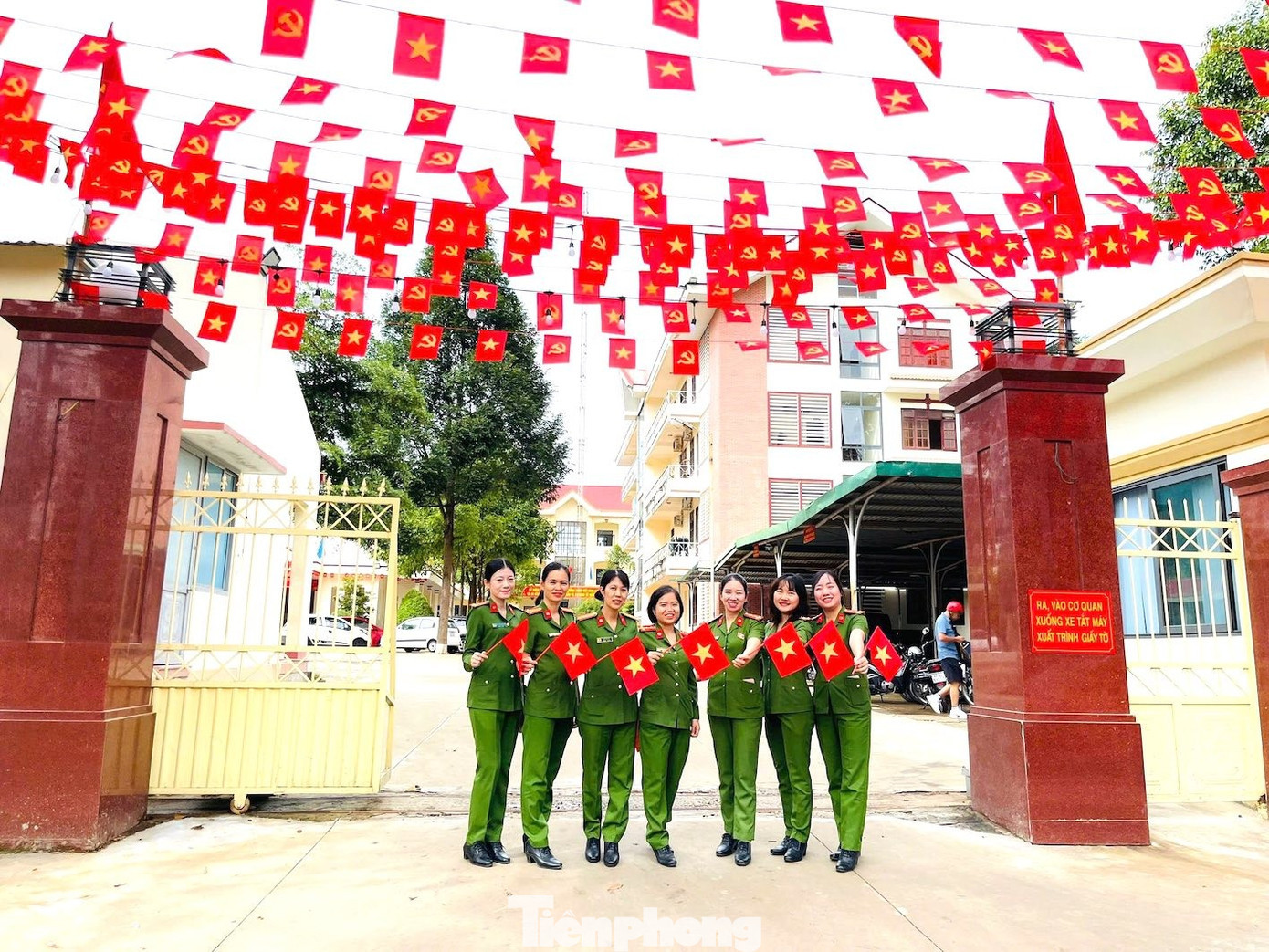 tp-4-6775.jpg