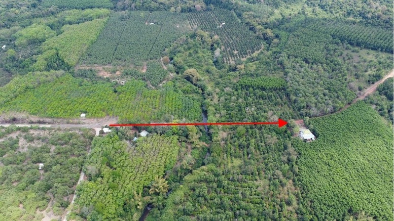 Công ty nhà THACO đề xuất làm tuyến đường xuyên rừng 22.600 tỷ đồng