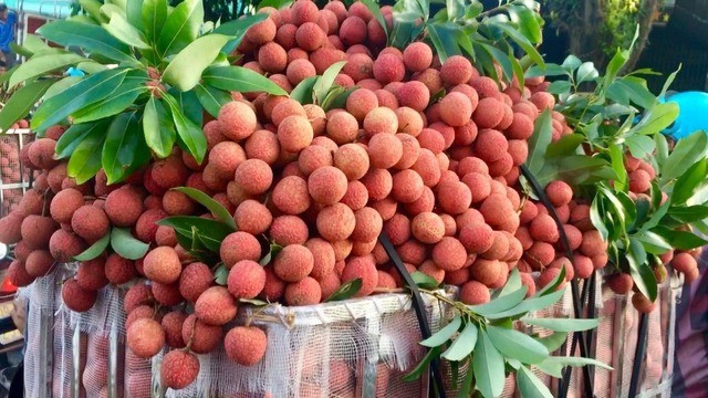 anh-duoc-tao-boi-phanthuytrangba.jpg
