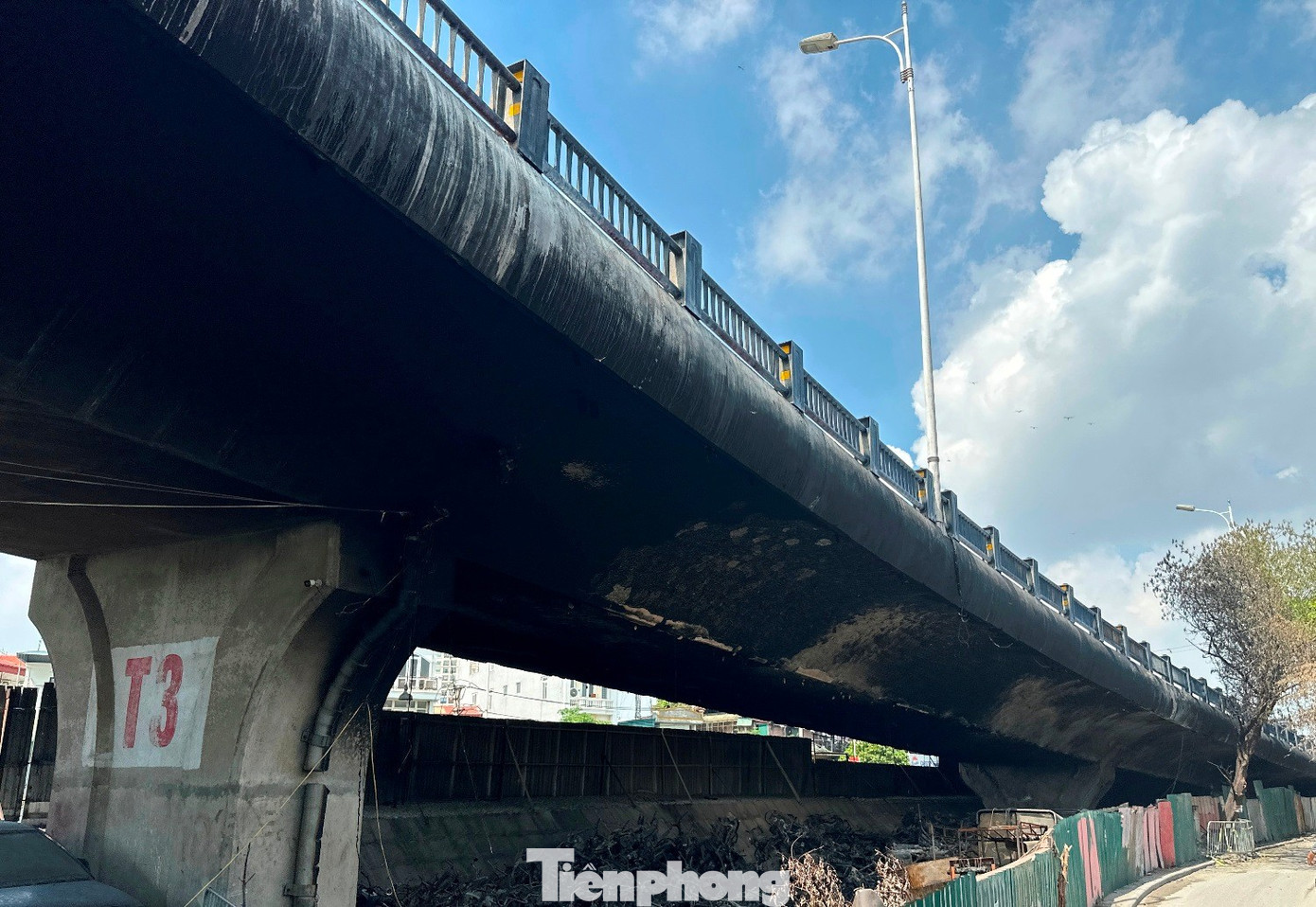 tp-1.jpg