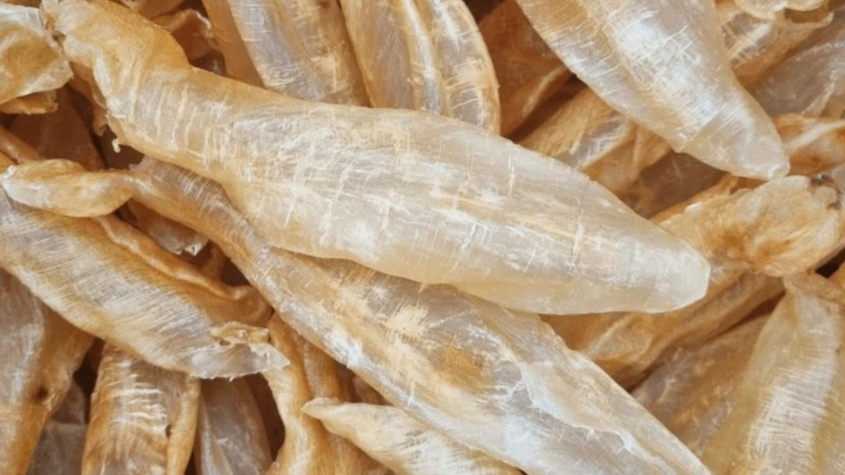 3 bộ phận của cá ‘quý như vàng’ nhưng nhiều người không biết mà ăn, thường vứt bỏ vào thùng rác 3 bộ phận của cá ‘quý như vàng’ nhưng nhiều người không biết mà ăn, thường vứt bỏ vào thùng rác