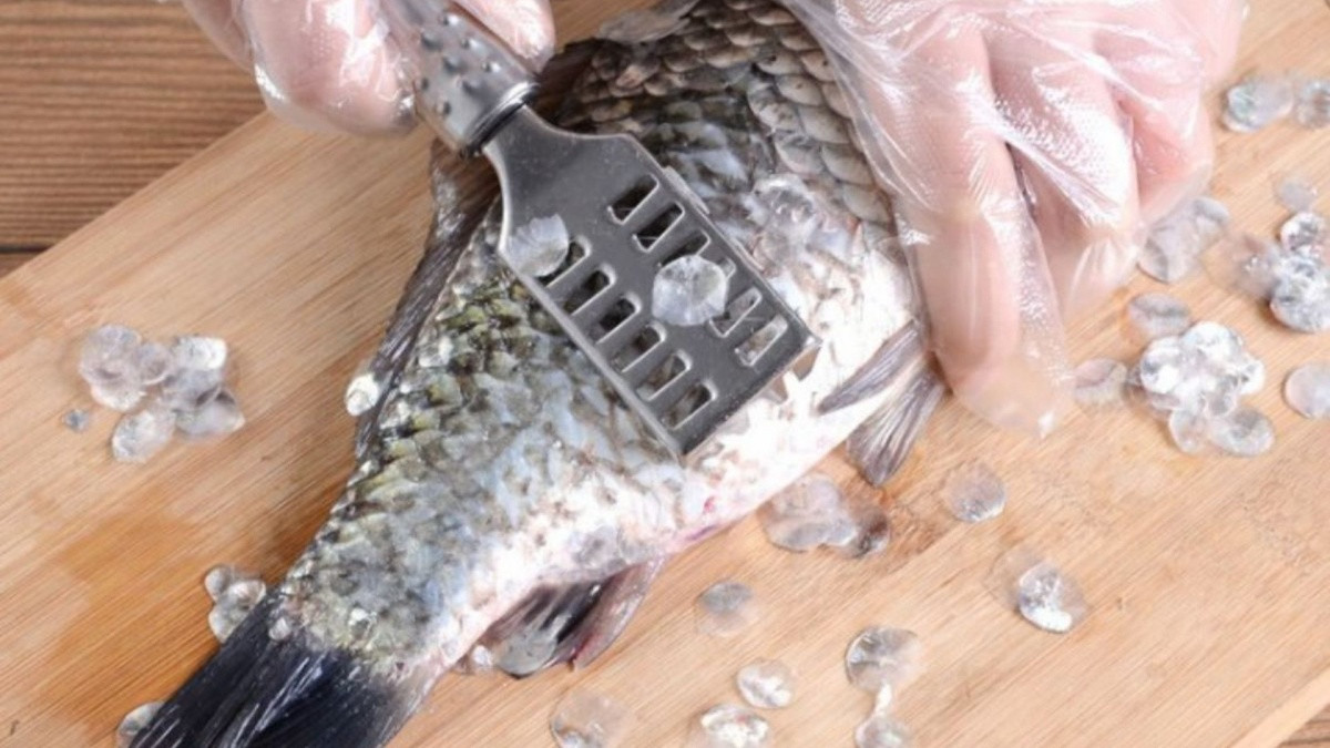 3 bộ phận của cá ‘quý như vàng’ nhưng nhiều người không biết mà ăn, thường vứt bỏ vào thùng rác 3 bộ phận của cá ‘quý như vàng’ nhưng nhiều người không biết mà ăn, thường vứt bỏ vào thùng rác