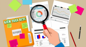 Đình chỉ tư cách hành nghề với 2 kiểm toán viên của An Việt CPA