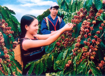Mặt hàng tỷ đô của Việt Nam ồ ạt vào Campuchia, khối lượng xuất khẩu tăng hơn 400%