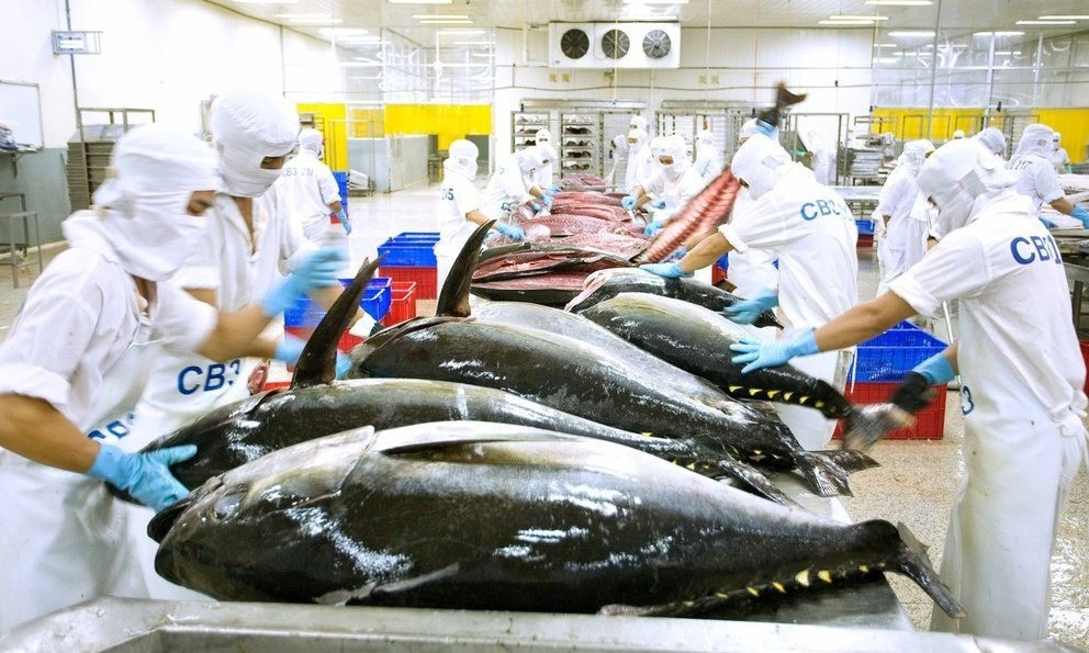 Việt Nam phải nhanh chóng chuẩn bị các nội dung kỹ thuật đáp ứng yêu cầu của NOAA. Ảnh minh họa: Vasep. 20250819083804237ca-ngu-viet-nam.jpg