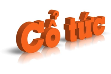 Lãi tăng đột biến 116%, một doanh nghiệp vận tải biển chốt quyền chia cổ tức tỷ lệ 11%