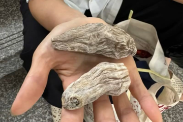 Bà H. đi khám bị người phụ nữ lạ dụ dỗ mua ‘củ thuốc thần’, Bệnh viện Nhiệt đới Trung ương phối hợp công an làm rõ