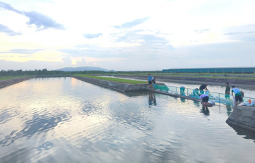 Xí nghiệp của ông Trần Bá Dương lên kế hoạch nuôi 9.000 con cá, trồng rau trên 2.400m2 đất