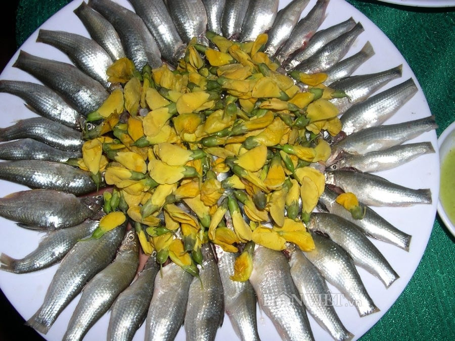 Loại 'cá thần' chỉ xuất hiện vào mùa nước nổi ở miền Tây, giá 300.000 đồng/kg vẫn khan hàng Loại 'cá thần' chỉ xuất hiện vào mùa nước nổi ở miền Tây, giá 300.000 đồng/kg vẫn khan hàng