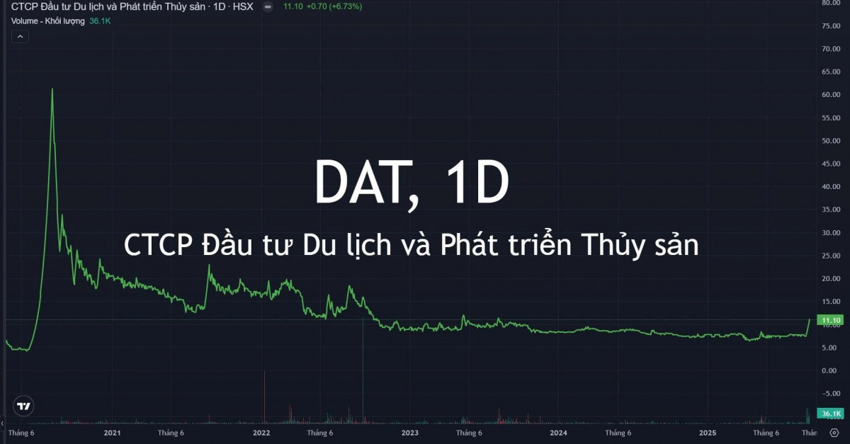 Một cổ phiếu trên HoSE từng tăng trần 40 phiên liên tiếp bước vào sóng mới