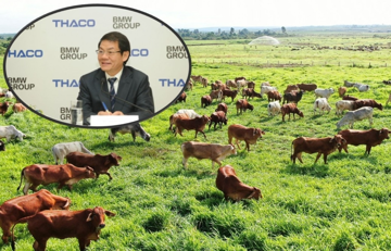Gần 60.000 con bò của xí nghiệp 'nhà' ông Trần Bá Dương được gắn 'thẻ căn cước'
