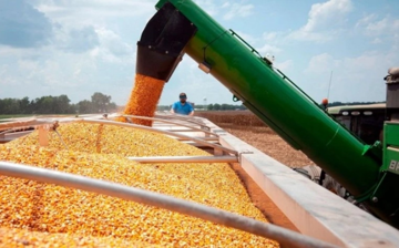 Là quốc gia sản xuất một mặt hàng nông sản nhiều nhất thế giới, Mỹ sắp đón nhận 1 mùa vụ có diện tích thu hoạch lớn chưa từng thấy kể từ 1933