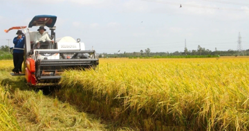Lý do An Giang trở thành vựa lúa số 1 cả nước
