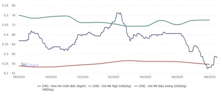 Giá thịt lợn vượt 60.000 đồng/kg: Doanh nghiệp chăn nuôi 'đếm tiền mỏi tay' hay lợi nhuận bị 'ăn mòn' vì chi phí thức ăn chăn nuôi neo cao