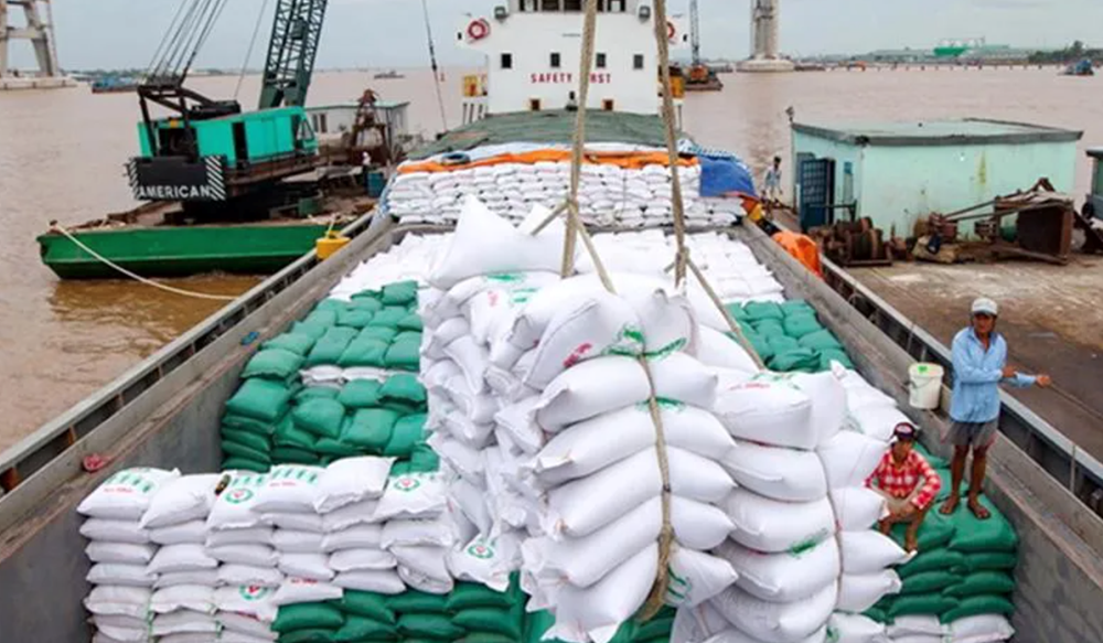 Khách hàng lớn ở Đông Nam Á ngừng nhập khẩu gạo cho đến cuối năm 2025: Việt Nam có lo mất thị phần khổng lồ? - ảnh 2