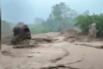 Áp thấp khả năng mạnh lên thành áp thấp nhiệt đới, Khánh Hòa khẩn trương ứng phó