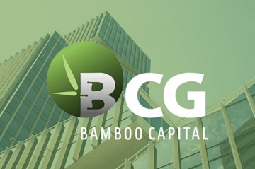 Cổ phiếu nhóm Bamboo Capital (BCG) bị treo cảnh báo kép