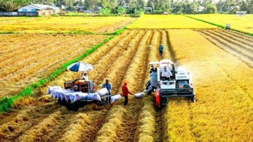 Philippines tạm 'đóng cửa', 2 thị trường này đang kéo gạo Việt thăng hạng