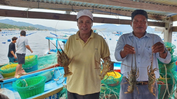 Từ 50 con giống đến doanh thu 4 tỷ: Hành trình thành 'tỷ phú tôm hùm' của ngư dân Khánh Hòa