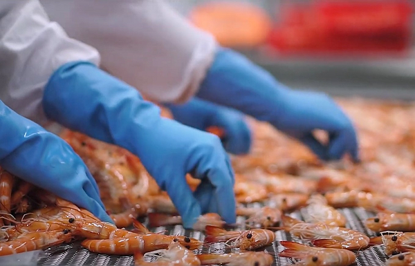 Thu gần 3 tỷ USD trong 8 tháng, 'báu vật dưới nước' đưa Việt Nam thành 'ông trùm' thế giới, Mỹ - Trung đua nhau săn lùng