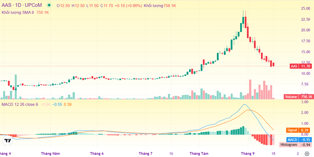 Hàng nghìn nhà đầu tư đón giáng sinh sớm trên thị trường chứng khoán - ảnh 2