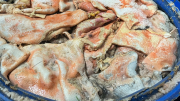 Rùng mình với cơ sở làm lạp xưởng: Gần 100 phi mỡ lợn phân hủy hôi thối, nhiều loại phụ gia thực phẩm đã hết hạn sử dụng